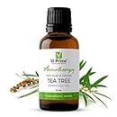VI PRIME HEALTH AND BEAUTY Tea Tree Essential Oil for Hair, Skin and Face Care - 100% Pure Tea Tree Oil for Dandruff, Acne, Aromatherapy, Stress, and More -10ml