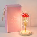 Beauty and The Beast Rose Forever Rose in Glass Dome with Led Light Eternal Rose