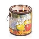 A CHEERFUL GIVER 95hr 20oz Scented Candle - Juicy Apple - Multi-Wick Glass Candle - Gifts For Men and Women
