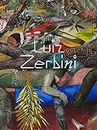 Luiz Zerbini: The Same Story Is Never the Same