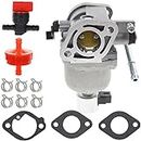 ZAMDOE 699807 Carbureto for Briggs & Stratton 697722 491026 4045A7 401577 406577 407577 699815 699814 20HP Engines Tractor, for Toro 74591 74592 74704, with Gasket