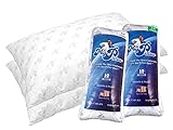 MyPillow Classic Bed Pillow Queen Combo (Set of 2)