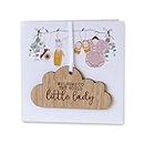 New Baby Girl/Baby Boy Card With Wooden Hanging Cloud Plaque Keepsake - Welcome To The World Little Lady/Little Man Gift (Pink)