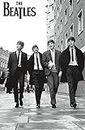 Beatles-in London Poster 28x43cm(11x17in)