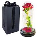 Beauty and The Beast Rose for Mom , Red Silk Forever Rose Dome Glass with LED Lights Wooden Black Base - The Unique Gift Mother's Day Anniversary Birthday and Home/Office Table Decorations(Style 1-Rose-Red)