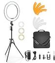 Camera Photo Video Lighting Kit: RL-18″ 55W 240 LED Ring Light 5500K Photography Dimmable Ring Lamp with Mirror Tripod for Smartphone, YouTube, Vine Self-Portrait Video Shooting