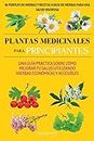 Plantas medicinales para principiantes: Una guía práctica sobre cómo mejorar tu salud utilizando hierbas económicas y accesibles