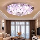 25.6" Luxury Crystal Chandelier LED 7-Color Peacock Feather Ceiling Lighting