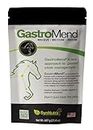 GastroMend® Gastrointestinal Health Supplement for Horses, 100% Natural, Promotes Stomach and Gut Health in Equines, Cost-Effective Digestive Wellness, 60 Servings per Pouch, Made in The USA