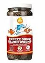 Boltz Freeze Dried Blood Worms Fish Food 100 Grams for Bettas, Tetras, Arowana, Flowerhorn, Oscar Fish (100 GM)