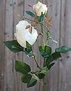 artplants.de Künstliche Rose CARUSA, Creme-weiß, 80cm, Ø8cm - Kunst Rosenzweig