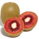 BishtHub Kiwi Seeds Red Hybrid Fruit Seeds Easy To Grow For Gardening- 50 Seeds