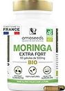 Moringa Bio Haute Concentration | 60 gélules de 500mg | Anti-fatigue, Immunité, Belle Peau, Détox | Qualité Supérieure