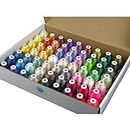 Simthread 63 Brother Colors Polyester Embroidery Machine Thread Kit 40 Weight for Brother Babylock Janome Singer Pfaff Husqvarna Bernina Embroidery and Sewing Machines 550Y