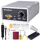 WooEver Professional Wood Burning Kit, Adjustable Temperature Control Wood Burning Tools with 20 Wire Tips Pyrography Machine for Wood Leather and Gourd - White