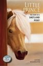 Annie Wedekind Little Prince (Poche) Breyer Horse Collection