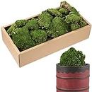 Fabbay 2.2 lb Preserved Moss Decorative Potted Plant Terrarium Moss Natural Dried Emerald Green Pillow Moss for Gardening Art Wall Decor Crafts DIY Home Office Wedding Decoration, 3.0 Sq. ft