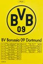 2013 Panini Football League PFL 01 Borussia Dortmund BVB 09 team set (11) cards