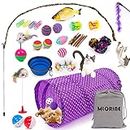 Cat Toys Kitten Toys 34pcs Assorted Cat Tunnel Catnip Fish Feather Teaser Wand Fish Fluffy Mouse Mice Balls and Bells Toys Storage Bag Set Kit Interactive cat Toys cat Feather Toy Mlorine (34PCS)
