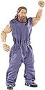 WWE – Elite Collection – Daniel Bryan – Figurine Articulée 15 cm