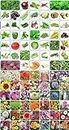 Aero Seeds 85 Varieties of Flowers, Vegetable & Herbs Seeds for Kitchen Garden - 5000+ Seeds For Your Garden With Instruction Manual