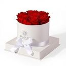 Graclect Preserved Roses in a Box for Delivery Prime,Forever Flowers,Immortal Roses Birthday Gifts for Her for Mom/Wife/Grandma - Red