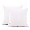 TAOSON Set of 2,White 100% Cotton Soft Square Decorative Throw Pillow Protector Pillow Covers Sofa Solid Colors Couch Cushion Pillowcases with Hidden Zipper Only Cover No Insert 18 x 18 inch 45x45cm