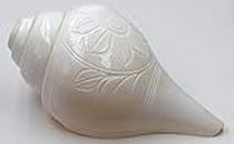 CENTORGANIC Conch Shell Blowing Shankh for Pooja Original (16 cm, White)