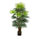 Primrue Faux Botanical Fortune Palm in Green Finish 55" Height Silk/Plastic | 55 H x 31 W x 32 D in | Wayfair 55ADFA576ECA45EFB7C205304A2F997B