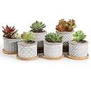 T4U 6CM Cement Succulent Pots with Tray 6-Set, Concrete Cactus Pots Small Cacti Planter Grey Gardening Plant Pot Container for Home and Office Decoration Birthday Wedding