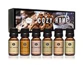 P&J Fragrance Oil Cozy Home Set | Brown Sugar, Apple Pie, Coffee Cake, Café Mocha, Leather, Hot Chocolate Candle Scents for Candle Making, Freshie Scents, Soap Making Supplies, Diffuser Oil Scents