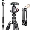 10 Layers Carbon Fiber Travel Tripod Monopod-INNOREL RT55C with 36mm Panoramic Ball Head 360 Degree and Carrying Case Professional Lightweight Compact Tripods for Digital Camera Camcorder DSLR
