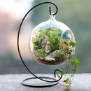 Eisen langlebig hängende Pflanzenständer zu Blumentöpfen Mini Landschaft Kits