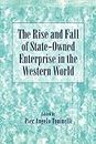 The Rise and Fall of State-Owned Enterprise in the Western World (Comparative Perspectives in Business History)