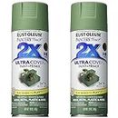 Rust-Oleum 249071 Painter's Touch 2X Ultra Cover Spray Paint, 12 oz, Satin Moss Green (Pack of 2)