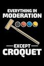 Everything is Moderation Except Croquet: Croquet Players Funny Blank Lined Journal Notebook Diary