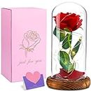 DIDUDE Rose im Glas,Ewige Rose im Glas mit LED-Licht,Die Schöne und das Biest Rose,Valentinstag Geburtstag für sie,Jubiläum,Hochzeitstag, Weihnachtstag,Frauentag