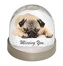 Pug Dog " Missing You " Sentiment Photo Snow Globe Waterball - Advanta Group®