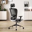 Green Soul® | Jupiter Superb | Office Chair | 3 Years Warranty | Smart Multi-Tilt Lock Mechanism | Ergonomic Chair for Home & Office | High Back (Black & Grey)