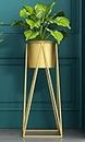 Crown Ron Indoor Outdoor Home and Garden Decor Plant Stand with Planter Pot (Golden)
