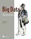 Big Data: Principles and Best Practices of Scalable Real-Time Data Systems