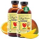 CHILDLIFE ESSENTIALS Multi Vitamin and Mineral for Infants, Babys, Kids, Toddlers, Children, and Teens, 8-Ounce Pack of 2