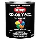 Krylon K05613007 COLORmaxx Acrylic Latex Brush On Paint for Indoor/Outdoor Use, ½ Pint, Satin Black