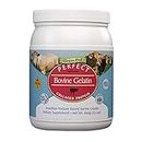 Perfect Supplements – Perfect Bovine Gelatin – 660 Grams – 100% Beef Gelatin Collagen Protein – Supports Healthy Skin & Joint Health