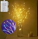 LITBLOOM Lighted Birch Branches Battery Operated with 8 Functions 32IN 100 Multi Color and Warm White Lights for Christmas Holiday Party Decoration Indoor Outdoor
