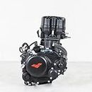 Engine 125cc Motorcycle for Lexmoto LXR 125 SY125-10/LXR SE 125 SY125-10-SE NEW