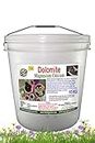 TSR Organic Fertilisers & Pesticides Dolomite Lime Powder 10 KG Bucket Magnesium and Calcium Fertilizer, Excellent for Soil PH Balance for All Indoor and Out Door Plants and Gardens