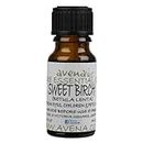 Sweet Birch Essential Oil (Betula lenta) - 30ml