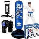 Inflatable Kids Punching Bag Toy Set, Boxing Bag Toy for Boys Age 3-12, Karate/Taekwondo/MMA Toys Gifts for Boys (Blue)