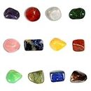 Reiki Crystal Products 12 Chakra Tumble Kit Natural Crystal Tumble Stone Sets Energized by Experienced Reiki Healing Grandmaster